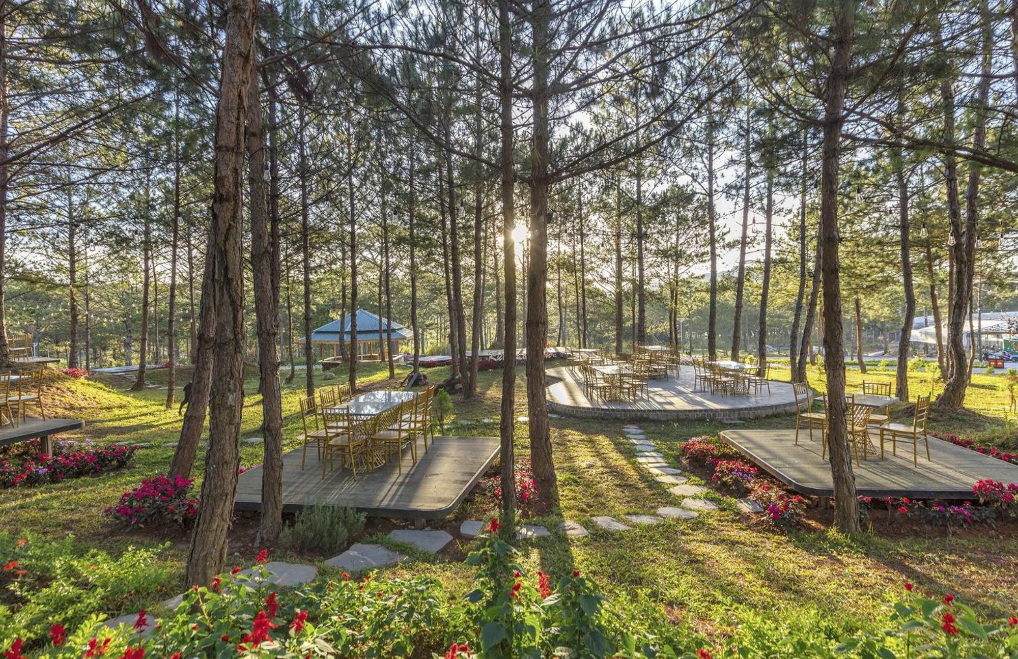 Rừng Lá Kim Resort Dalat Exterior foto